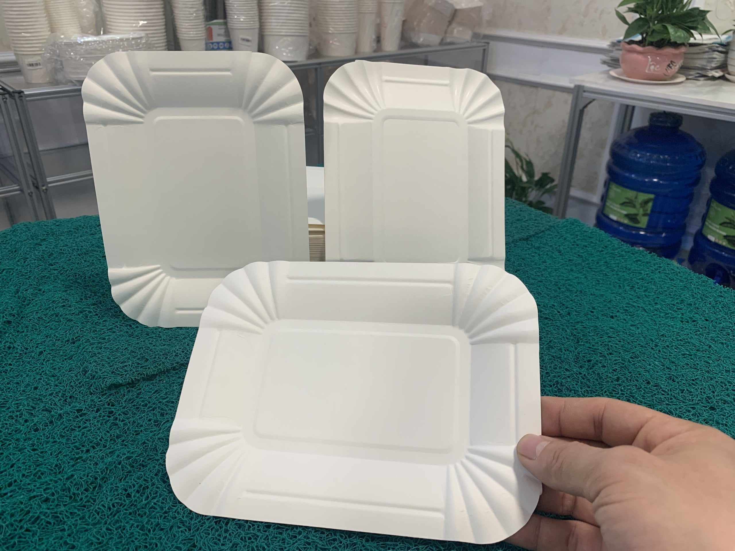 Đĩa, dĩa giấy chữ nhật dùng 1 lần - Ảnh 3